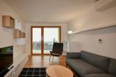 EFI Residence Holzova - Apartmán Superior se dvěma ložnicemi - obývací pokoj s TV